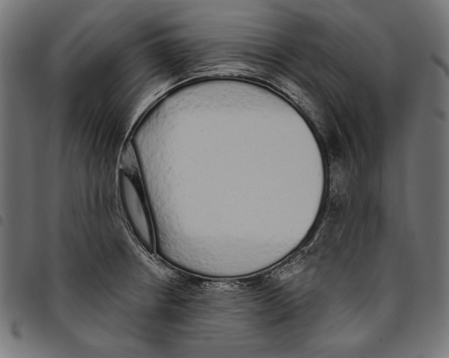 X0000094771234200712141551