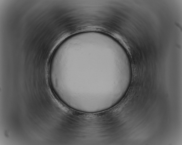 X0000094771235200712141551