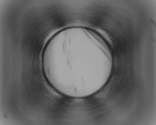 X0000094771238200712141551