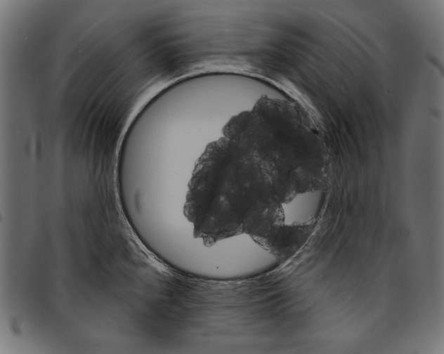 X0000094771240200712141551