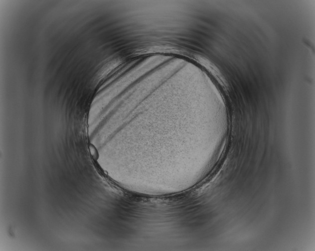 X0000094771241200712141551