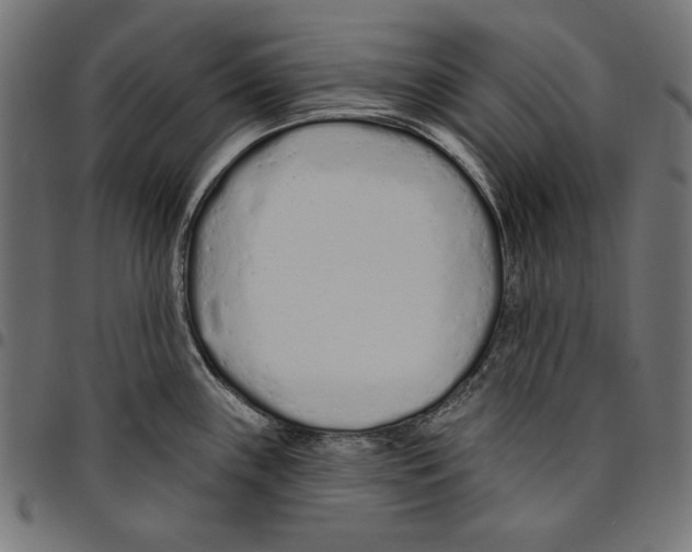 X0000094771243200712141551