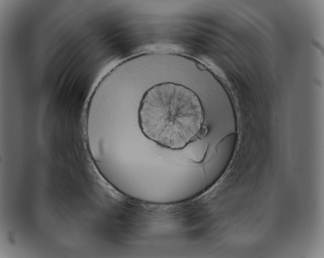 X0000094771248200712141551