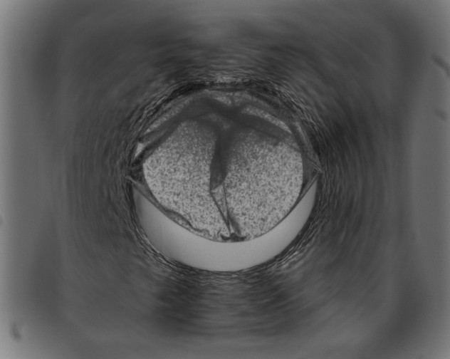 X0000094771249200712141550