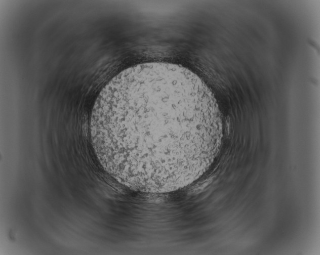 X0000094771251200712141550