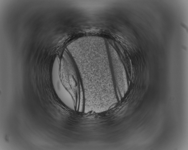 X0000094771252200712141550