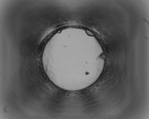 X0000094771255200712141550