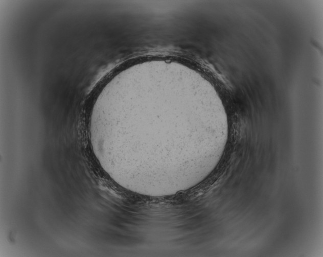 X0000094771256200712141550