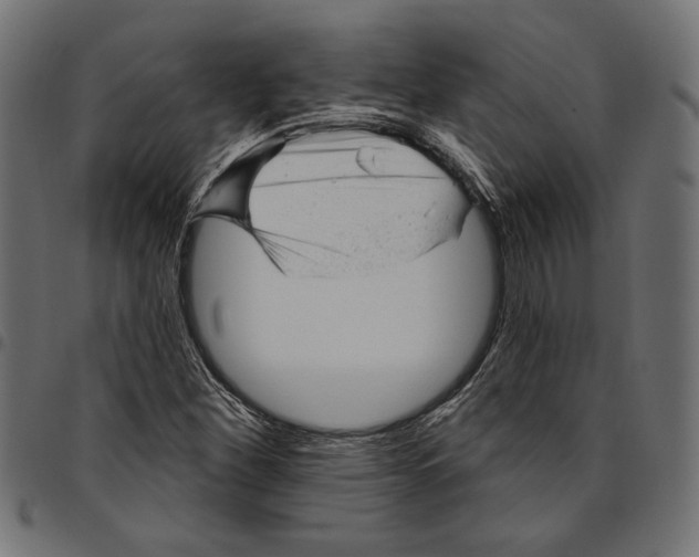 X0000094771260200712141550