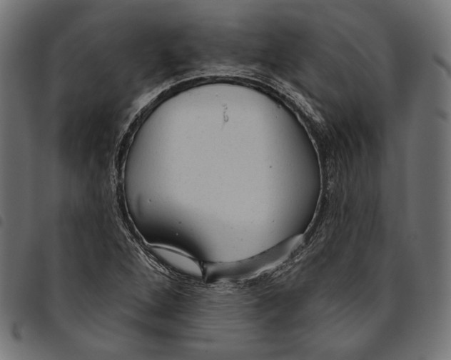 X0000094771264200712141550