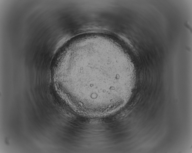 X0000094771267200712141550