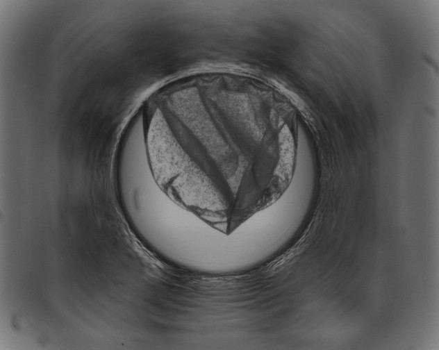 X0000094771272200712141550