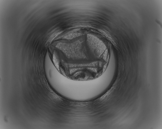 X0000094771273200712141550