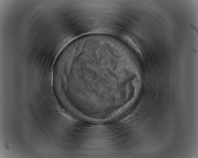 X0000094771276200712141550