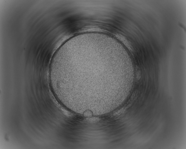 X0000094771282200712141550