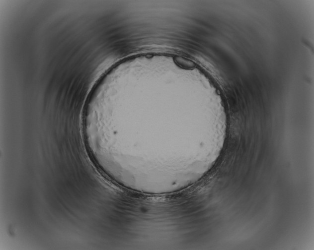 X0000094771283200712141550