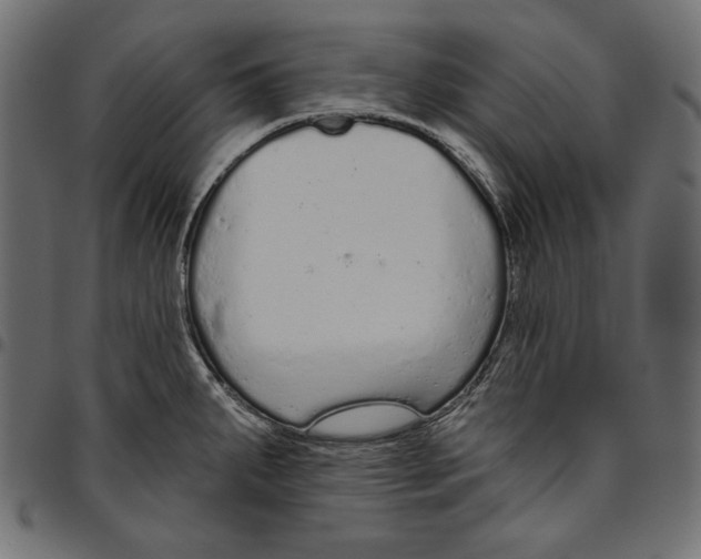 X0000094771287200712141550