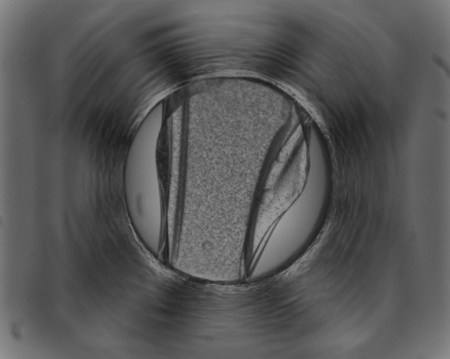 X0000094771289200712141550