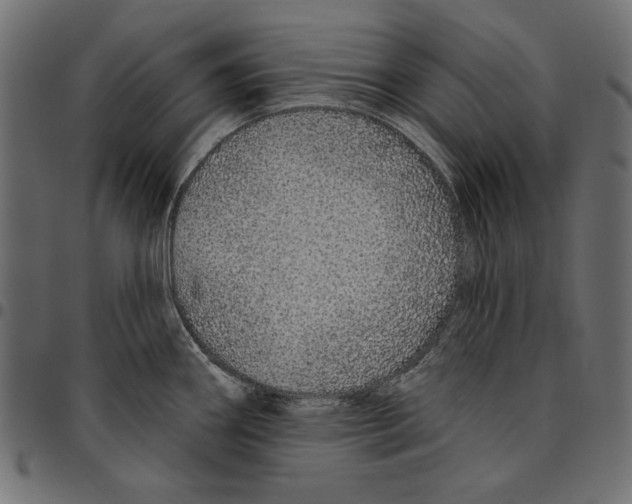 X0000094771290200712141550