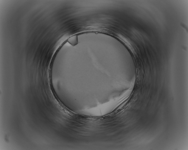 X0000094771291200712141550