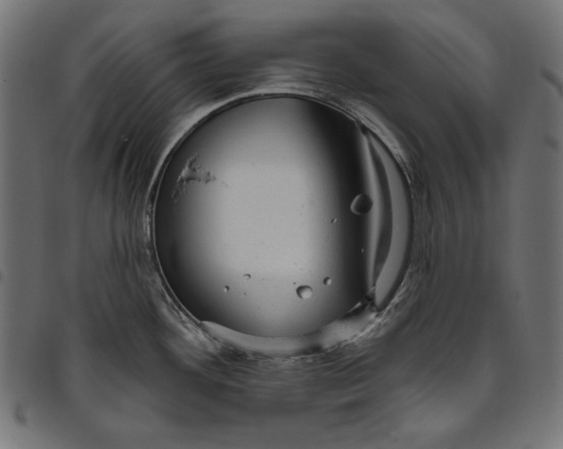 X0000094771292200712141550