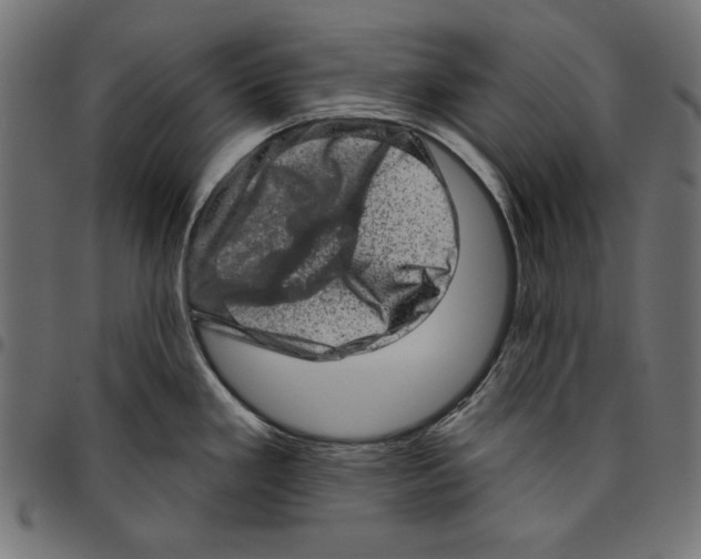 X0000094771293200712141550