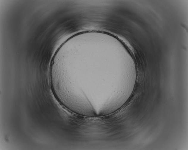 X0000094771295200712141550