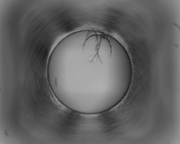 X0000094771296200712141550