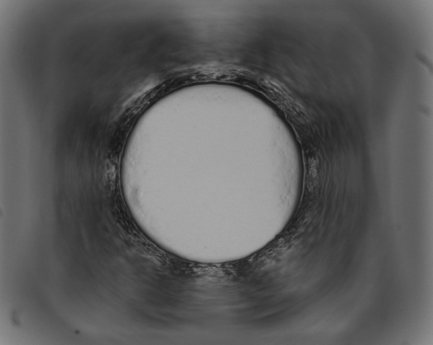 X0000094771302200712141549