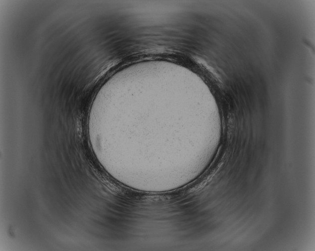 X0000094771305200712141549