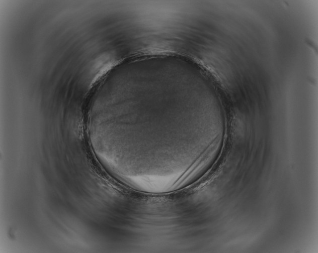 X0000094771306200712141549