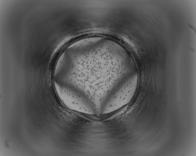 X0000094771310200712141549