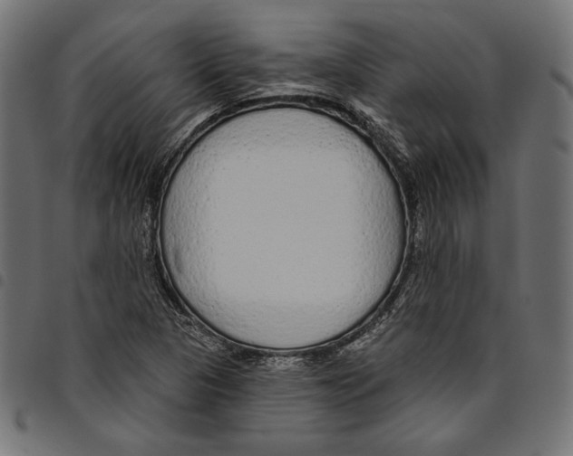 X0000094771313200712141549