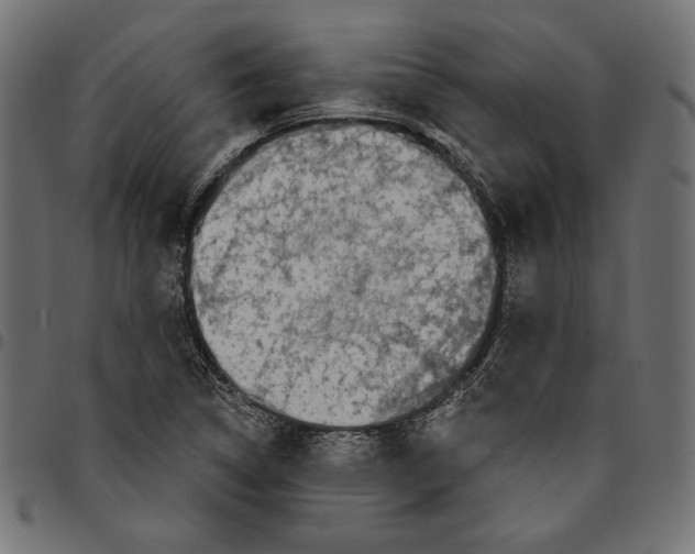 X0000094771314200712141549