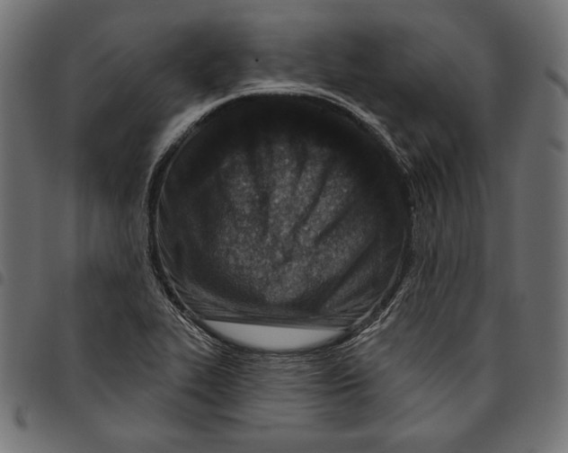 X0000094771319200712141549