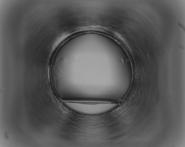 X0000094771320200712141549