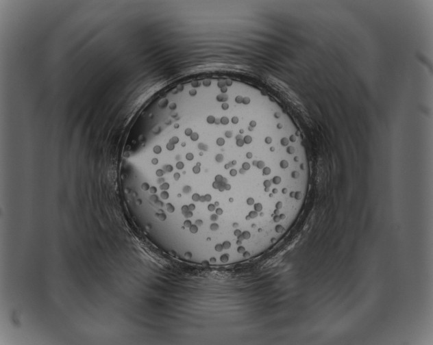 X0000094771321200712141549