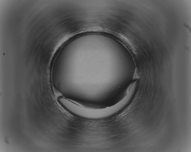 X0000094771326200712141549