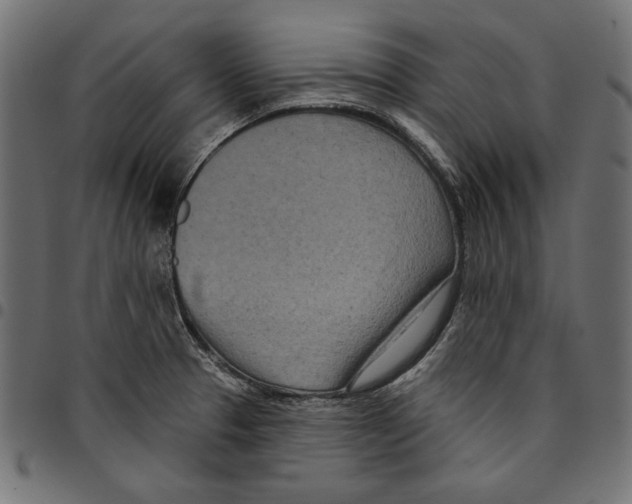 X0000094771329200712141549