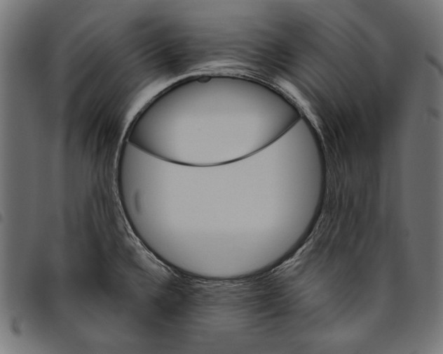 X0000094771336200712141549