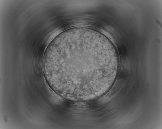 X0000094771338200712141549