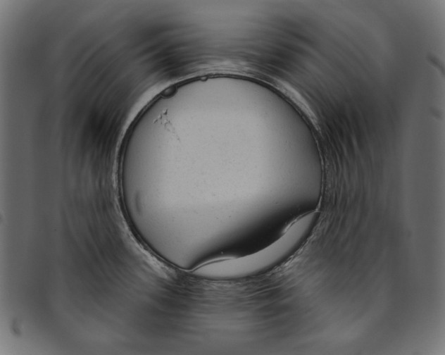 X0000094771339200712141549