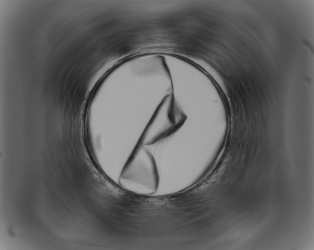 X0000094771341200712141549