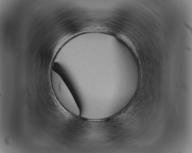 X0000094771344200712141549