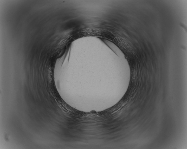 X0000094771346200712141549