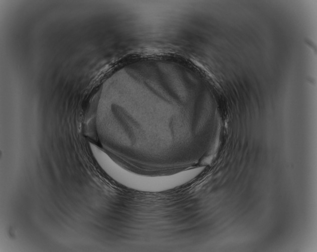 X0000094771348200712141549