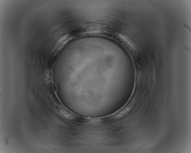 X0000094771353200712141549