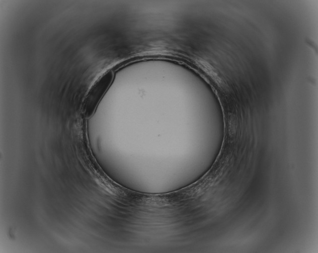 X0000094771356200712141549