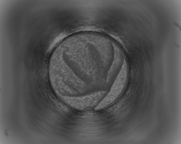 X0000094771359200712141549