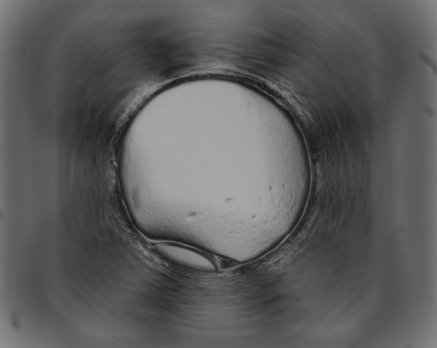 X0000094771363200712141549